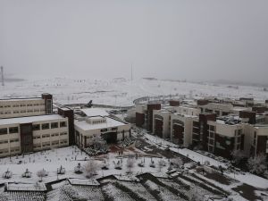271963710.jpg